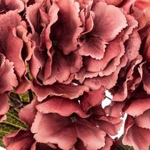 Flor Artificial Hortensia Ciruela 84cm | Atmosphera