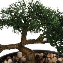 Bonsái Artificial con Maceta de Cerámica | Atmosphera