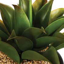 Aloe Vera Verde en Cerámica | Atmosphera