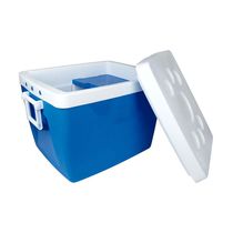 Cooler Azul de 75 Litros | Mor