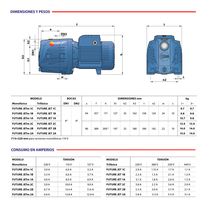 Bomba de Agua Future JetM2B 1.25HP | Pedrollo
