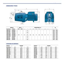 Bomba de Agua Autocebante JSWM3BM-N 2HP | Pedrollo