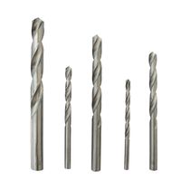 Broca HSS 1/2" Shinny | DeWalt
