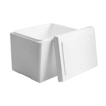 Cooler con Tapa 9 Litros Blanco | Plastex