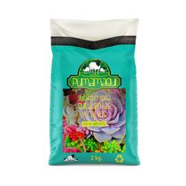 Sustrato Especial Cactus y Suculentas 2kg | Pumamaqui