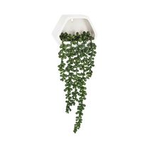 Planta Colgante de Pared 14x5.5x12.2cm | Atmosphera