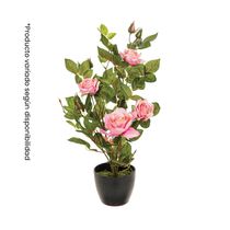 Rosa en Maceta Multicolor 38x38x50cm | Atmosphera