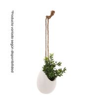 Planta de Pared Colgante Blanca 18x13x20.5cm | Atmosphera