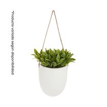 Planta de Pared Colgante 18x13x20.5cm | Atmosphera