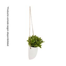 Planta de Pared Colgante 18x13x20.5cm | Atmosphera