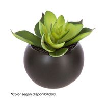 Planta de Grasa Magnética 8cm | Atmosphera