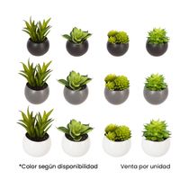 Planta de Grasa Magnética 8cm | Atmosphera