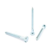 Perno Tirafondo Galvanizado para Madera 1/4" x 2-1/2" 10und | Fijer