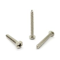Tornillo Tripa Niquelado #10 x 1-1/2" 10und | Fijer
