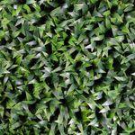 Jardin-Vertical-Cedron-Plastico-50x50cm-|-Elite