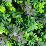 Jardin-Vertical-Selva-Lila-Plastico-50x50cm-|-Elite