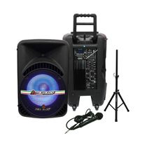 Caja Amplificada 15" | Italy Audio