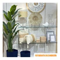 Cojín Blanco 50x30x10cm | Concepts