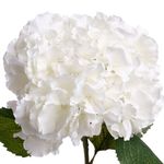 Flor-Artificial-Hortensia-|-Atmosphera