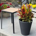 Maceta-Africa-42-Rustica-Gris-Oscuro
