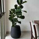 Maceta-Mate-40-Rustica-Gris-Oscuro