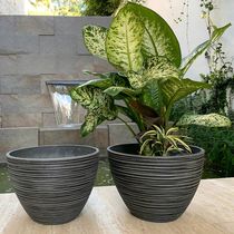 Maceta Bromelia 40x28cm Negro/Gris
