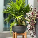 Maceta-Buxus-41x18cm-Negro-Gris
