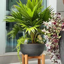 Maceta Buxus 41x18cm Negro/Gris