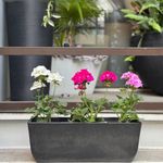 Maceta-Flor-45x16cm-Negro