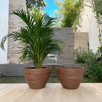 Maceta Bromelia 40x28cm Chocolate