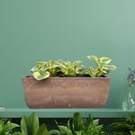 Maceta-Flor-45x16cm-Chocolate