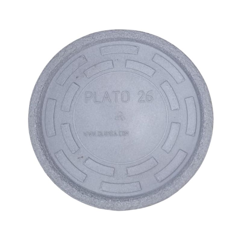 Plato-26-Rustico-Simple-Gris-Claro
