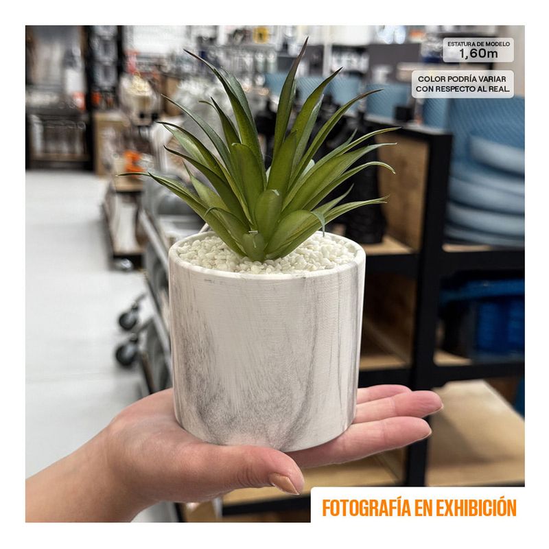 Planta-en-Maceta-Circular-9.3x9.3x18cm-|-Atmosphera