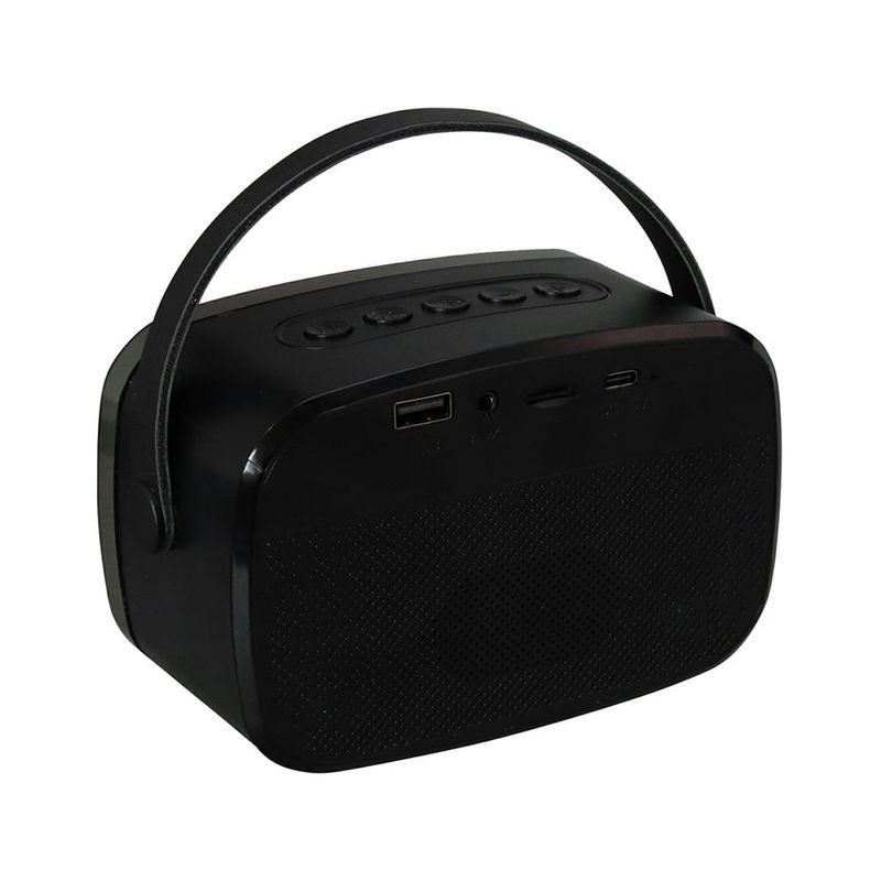 Parlante-con-Microfono-Recargable-15W-RMS-|-VTA