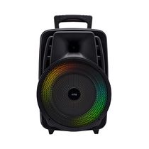Parlante Recargable 25W RMS + Micrófono Alámbrico | VTA