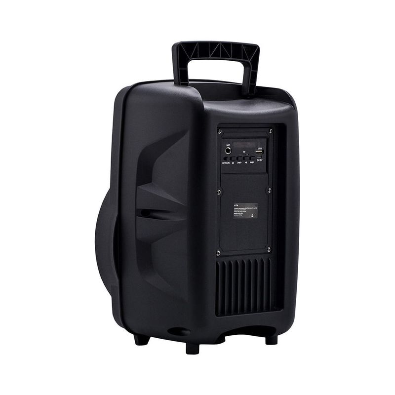 Parlante-Recargable-25W-RMS---Microfono-Alambrico-|-VTA