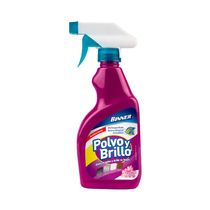 Removedor Polvo y Brillador Flores de Primavera 300ml | Binner