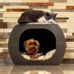 Cama-para-Mascotas-Tipo-Ratan-Mocca-Mediana-|-MQ